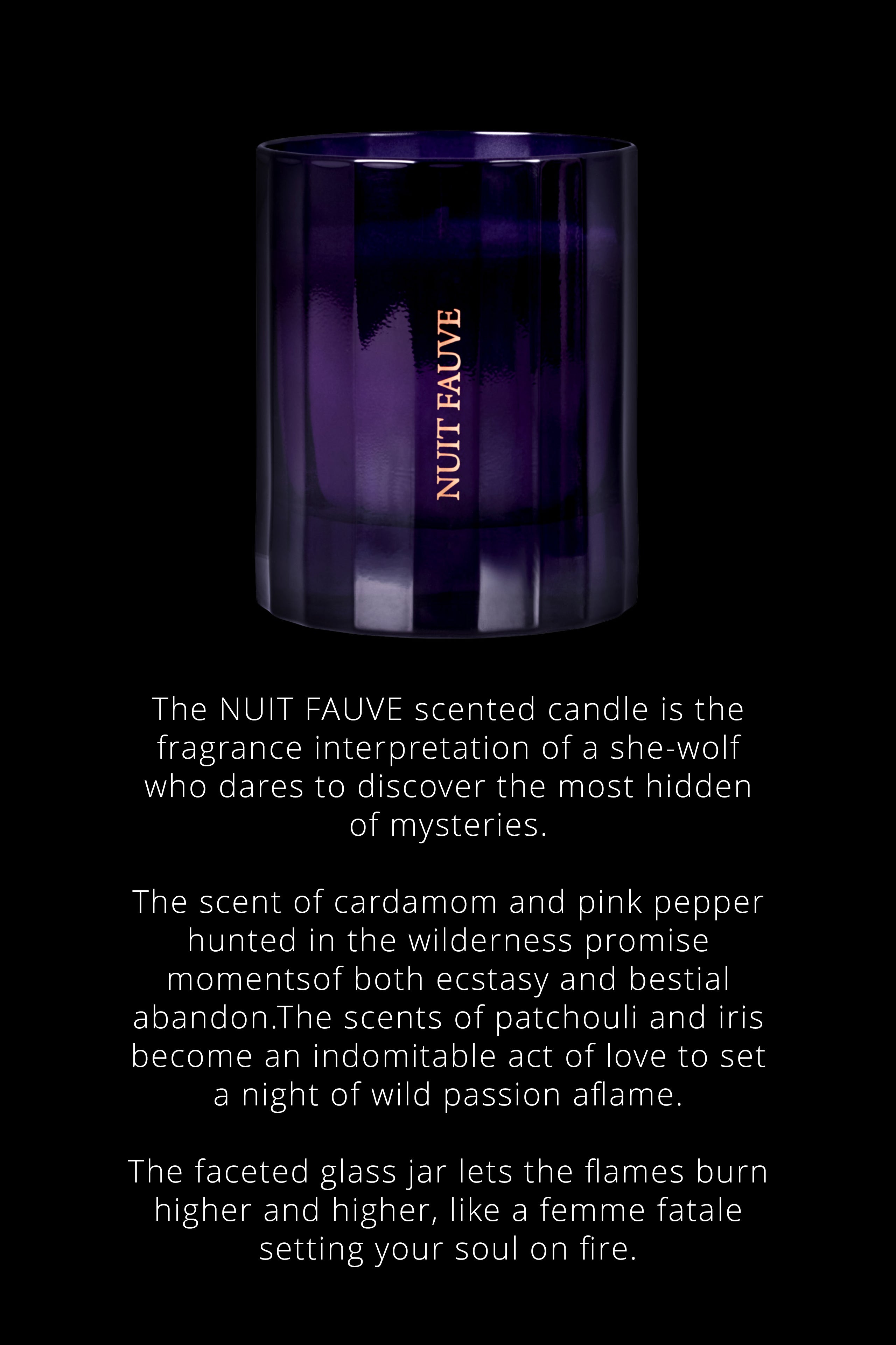 Candle Chypre notes - Nuit Fauve