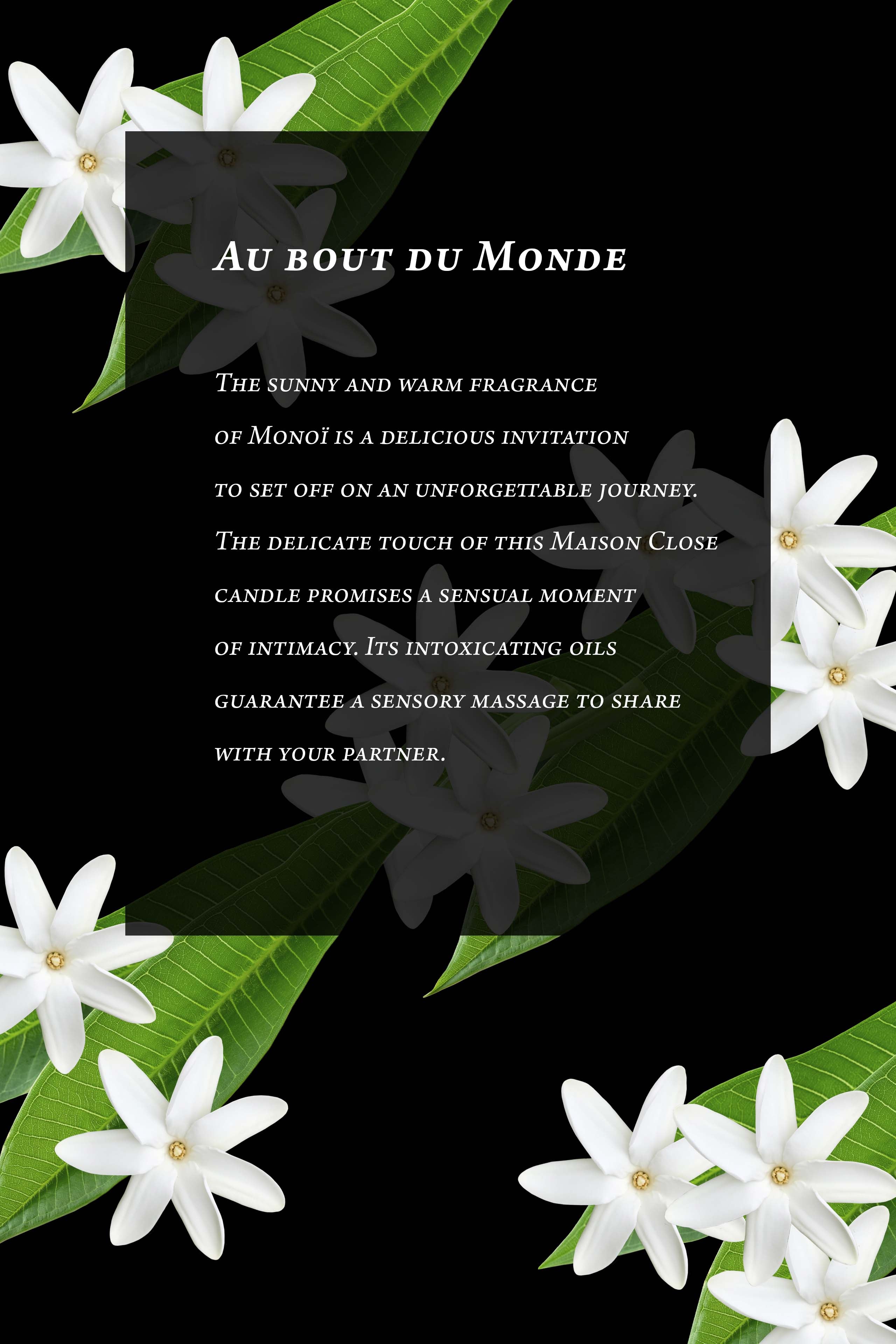 Massage Candle - Au Bout du Monde - Monoï